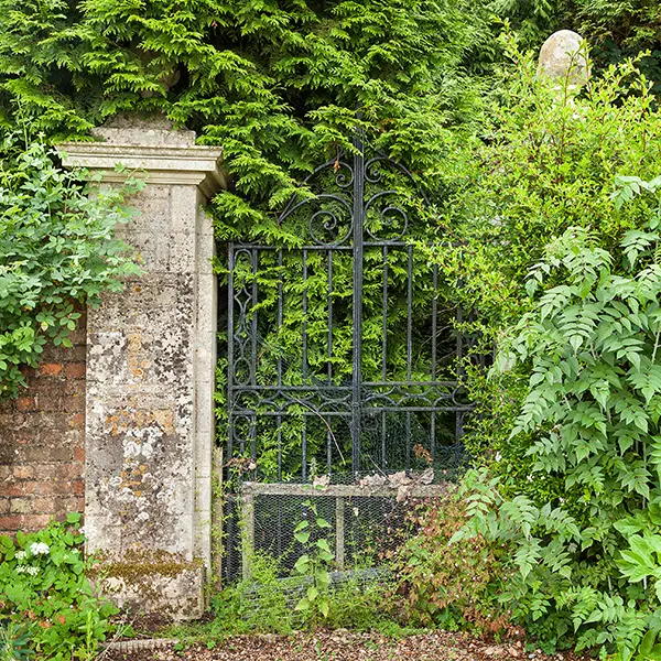 Professional Garden Clearance Services