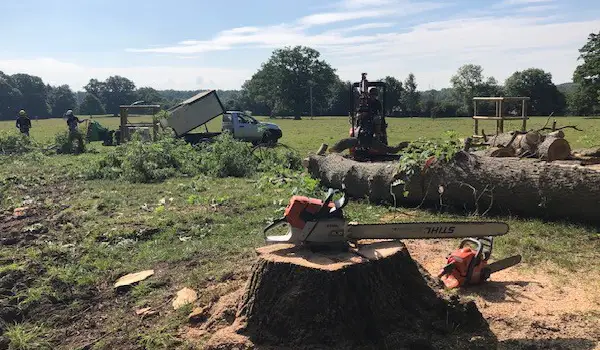 JW Tree Surgery