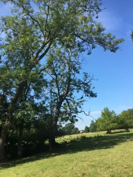 Swipe To View More Images