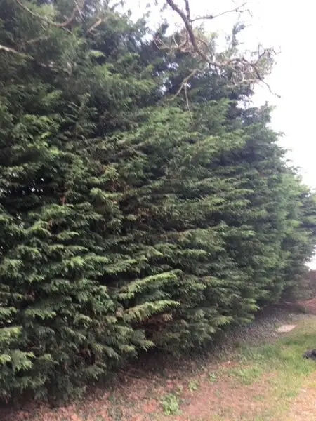 Swipe To View More Images