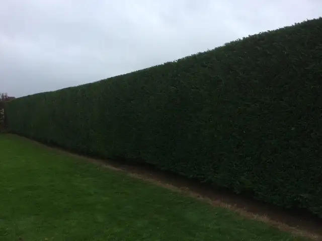 Swipe To View More Images