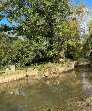 Click Here To Enlarge This Photo Of Willow Tree Removal From Stream In Kidlington, Oxfordshire