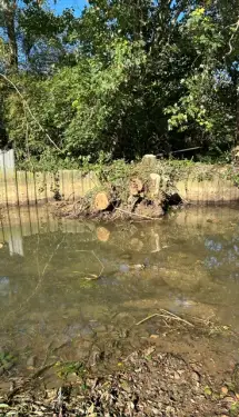 Click Here To Enlarge This Photo Of Willow Tree Removal From Stream In Kidlington, Oxfordshire