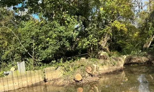 Photo of Willow Tree Removal From Stream In Kidlington, Oxfordshire