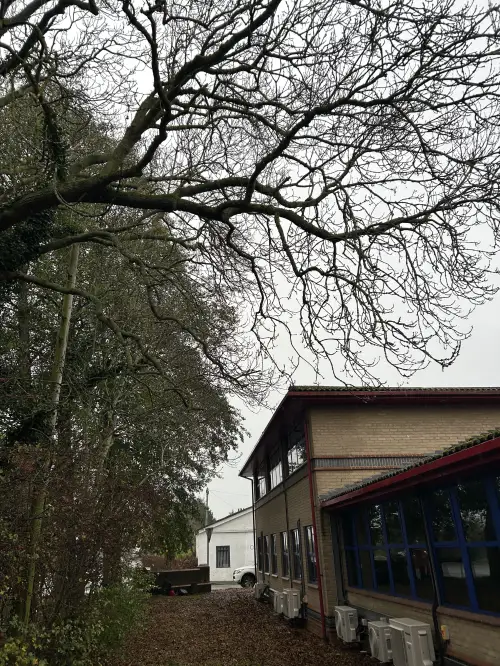 Click Here To Enlarge This Photo Of Commercial Tree Surgery In Bicester&comma; Overhanging Branches Removed