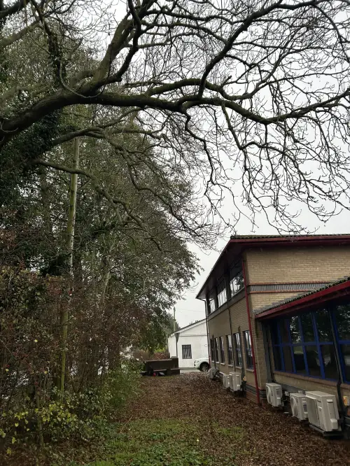 Click Here To Enlarge This Photo Of Commercial Tree Surgery In Bicester&comma; Overhanging Branches Removed