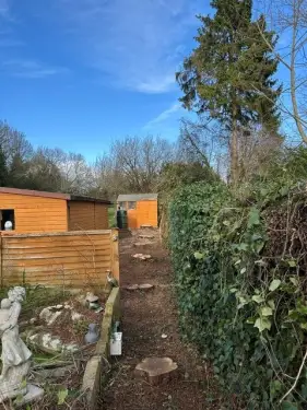 Click Here To Enlarge This Photo Of Conifer Tree Removal In Brize Norton&comma; Oxfordshire