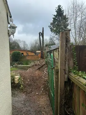 Click Here To Enlarge This Photo Of Conifer Tree Removal In Brize Norton&comma; Oxfordshire