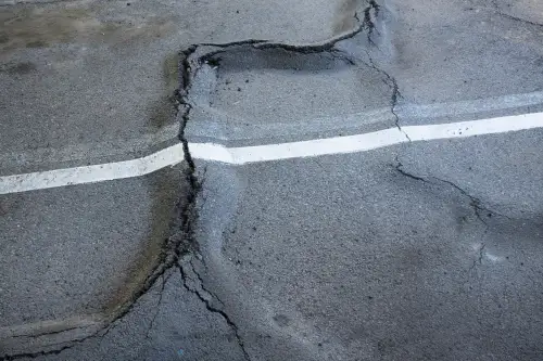 Click Here To Enlarge This Photo Of Root Heave&colon; What It Is&comma; Why It Happens&comma; When To Act