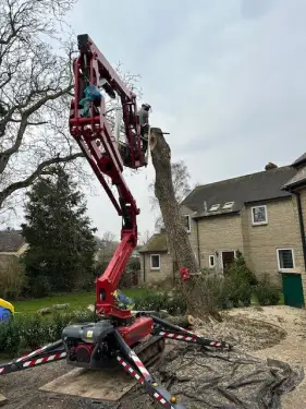 Click Here To Enlarge This Photo Of Tree Dismantling