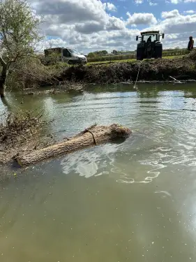 Click Here To Enlarge This Photo Of Fallen Ash Tree Removal
