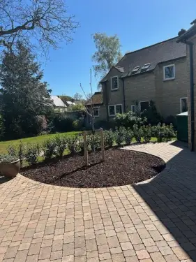 Click Here To Enlarge This Photo Of Stump Grinding & Tree Replanting