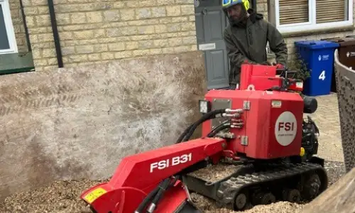 Photo of Stump Grinding & Tree Replanting