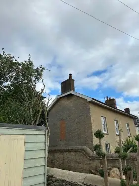 Click Here To Enlarge This Photo Of Conifer Removal In Bicester, Oxfordshire
