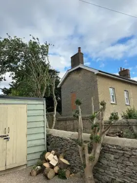 Click Here To Enlarge This Photo Of Conifer Removal In Bicester, Oxfordshire