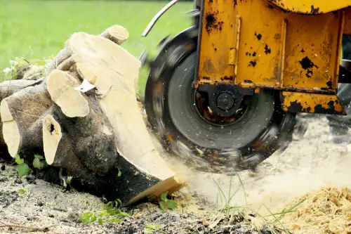 Click Here To Enlarge This Photo Of Stump Grinding In Oxford